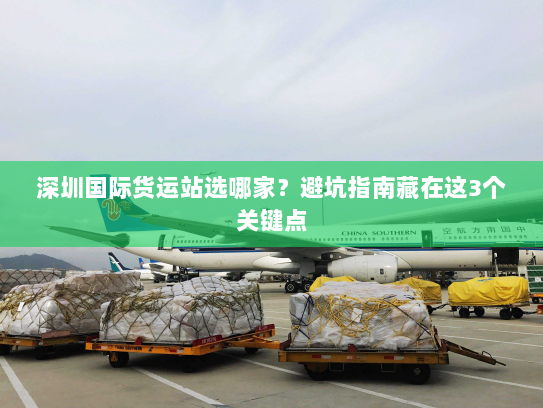 深圳国际货运站选哪家?避坑指南藏在这3个关键点 深圳国际货运站选哪家?避坑指南藏在这3个关键点