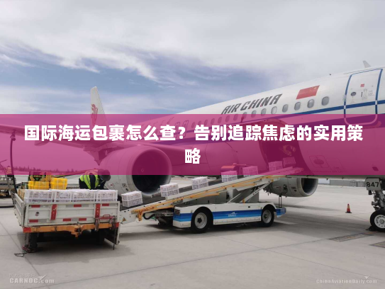 国际海运包裹怎么查？告别追踪焦虑的实用策略