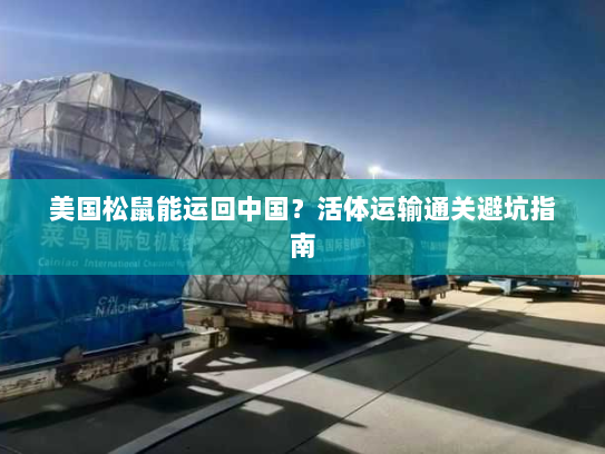 美国松鼠能运回中国?活体运输通关避坑指南 美国松鼠能运回中国?活体运输通关避坑指南