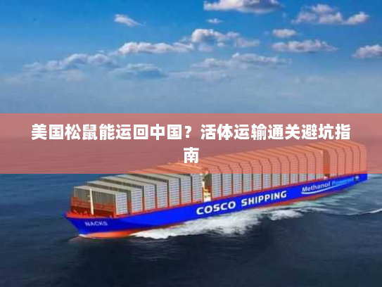 美国松鼠能运回中国?活体运输通关避坑指南 美国松鼠能运回中国?活体运输通关避坑指南