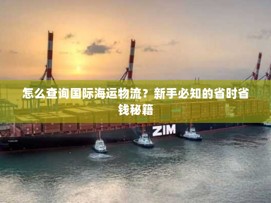 怎么查询国际海运物流?新手必知的省时省钱秘籍 怎么查询国际海运物流?新手必知的省时省钱秘籍