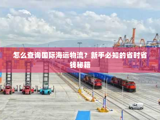 怎么查询国际海运物流?新手必知的省时省钱秘籍 怎么查询国际海运物流?新手必知的省时省钱秘籍
