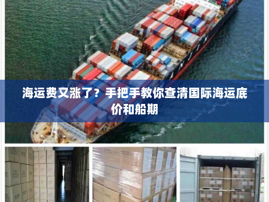 海运费又涨了?手把手教你查清国际海运底价和船期 海运费又涨了?手把手教你查清国际海运底价和船期