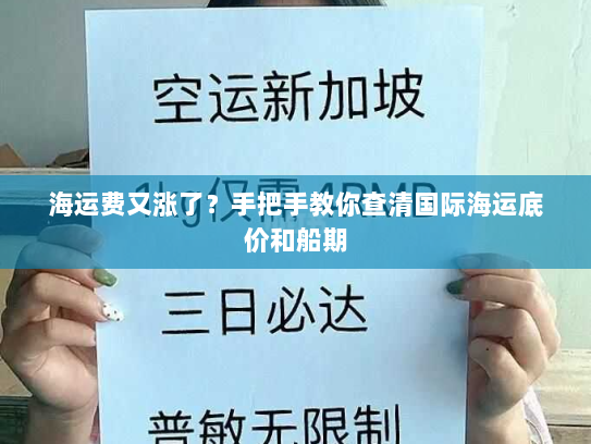 海运费又涨了?手把手教你查清国际海运底价和船期 海运费又涨了?手把手教你查清国际海运底价和船期