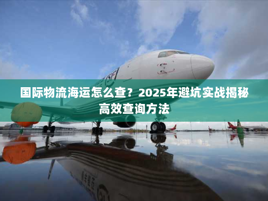 国际物流海运怎么查？2025年避坑实战揭秘高效查询方法