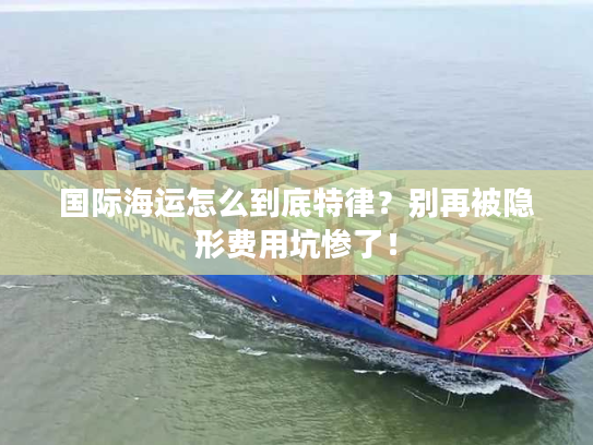 国际海运怎么到底特律?别再被隐形费用坑惨了! 国际海运怎么到底特律?别再被隐形费用坑惨了!