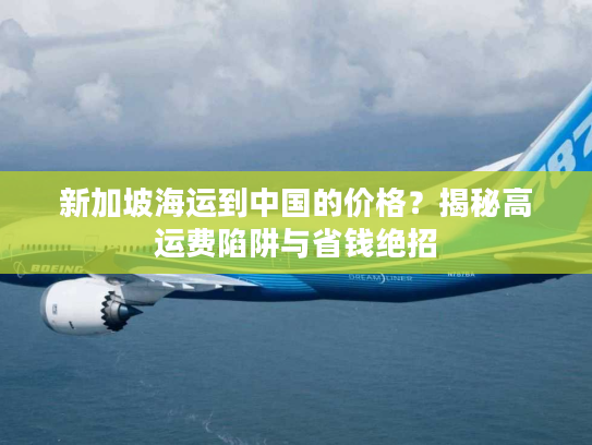 新加坡海运到中国的价格？揭秘高运费陷阱与省钱绝招