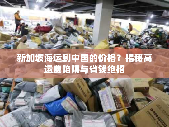 新加坡海运到中国的价格？揭秘高运费陷阱与省钱绝招