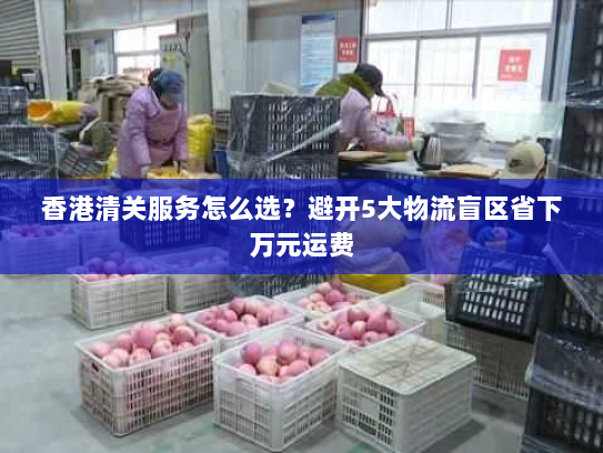 香港清关服务怎么选？避开5大物流盲区省下万元运费