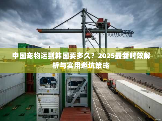 中国宠物运到韩国要多久？2025最新时效解析与实用避坑策略