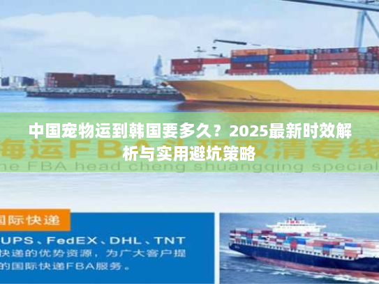 中国宠物运到韩国要多久？2025最新时效解析与实用避坑策略