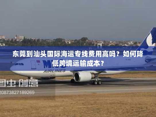 东莞到汕头国际海运专线费用高吗？如何降低跨境运输成本？