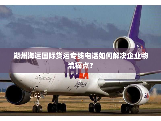 湖州海运国际货运专线电话如何解决企业物流痛点？