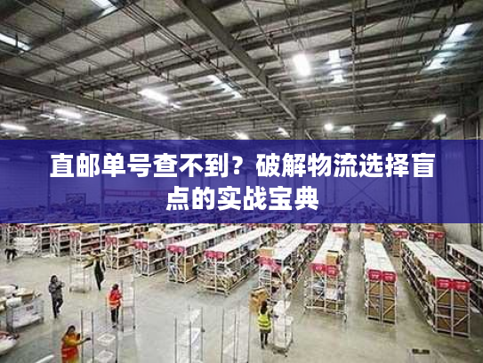 直邮单号查不到?破解物流选择盲点的实战宝典 直邮单号查不到?破解物流选择盲点的实战宝典