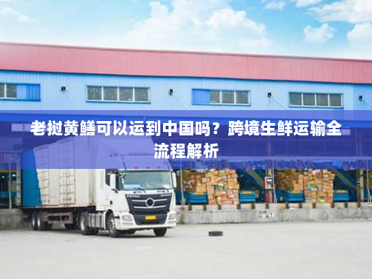 老挝黄鳝可以运到中国吗?跨境生鲜运输全流程解析 老挝黄鳝可以运到中国吗?跨境生鲜运输全流程解析