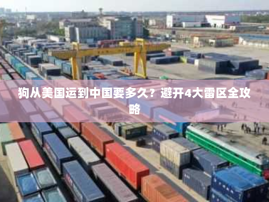 狗从美国运到中国要多久?避开4大雷区全攻略 狗从美国运到中国要多久?避开4大雷区全攻略