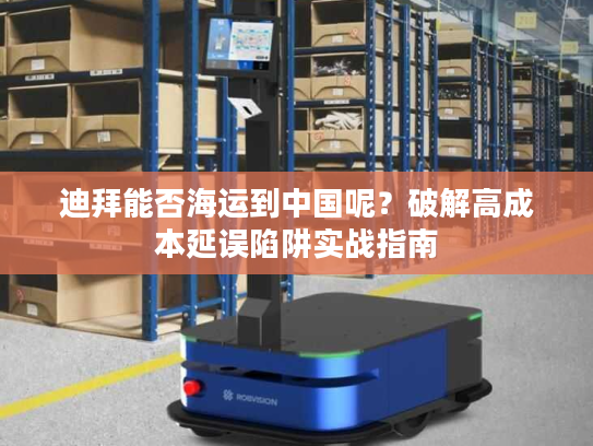 迪拜能否海运到中国呢？破解高成本延误陷阱实战指南