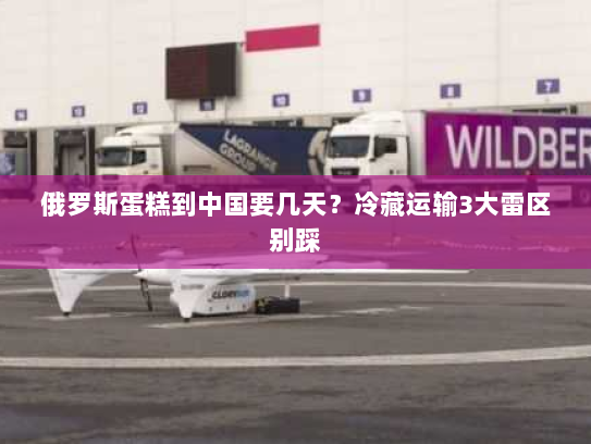 俄罗斯蛋糕到中国要几天？冷藏运输3大雷区别踩