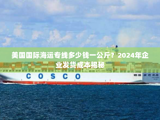 美国国际海运专线多少钱一公斤?2024年企业发货成本揭秘 美国国际海运专线多少钱一公斤?2024年企业发货成本揭秘