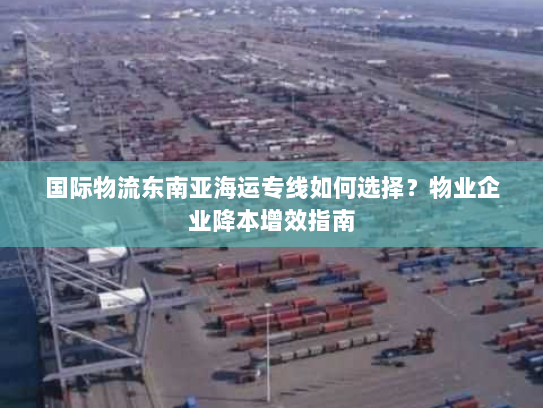 国际物流东南亚海运专线如何选择？物业企业降本增效指南
