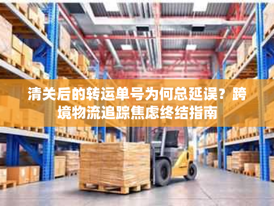 清关后的转运单号为何总延误？跨境物流追踪焦虑终结指南