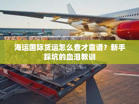 海运国际货运怎么查才靠谱？新手踩坑的血泪教训