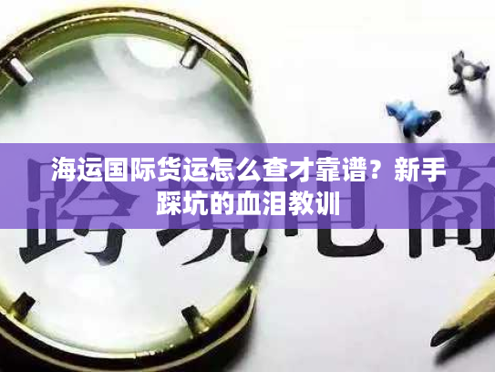 海运国际货运怎么查才靠谱？新手踩坑的血泪教训