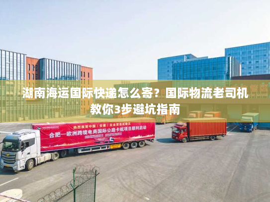 湖南海运国际快递怎么寄？国际物流老司机教你3步避坑指南