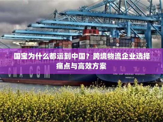 国宝为什么都运到中国？跨境物流企业选择痛点与高效方案