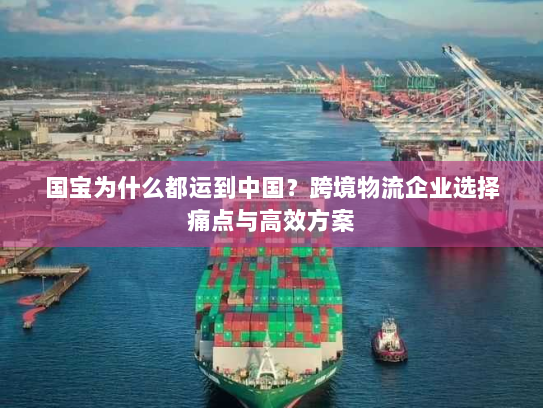 国宝为什么都运到中国?跨境物流企业选择痛点与高效方案 国宝为什么都运到中国?跨境物流企业选择痛点与高效方案