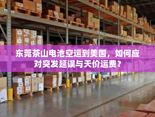 东莞茶山电池空运到美国,如何应对突发延误与天价运费? 东莞茶山电池空运到美国,如何应对突发延误与天价运费?