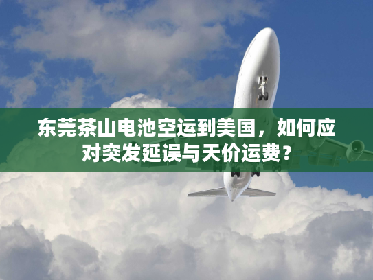 东莞茶山电池空运到美国，如何应对突发延误与天价运费？