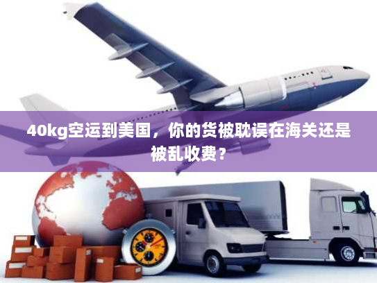 40kg空运到美国，你的货被耽误在海关还是被乱收费？