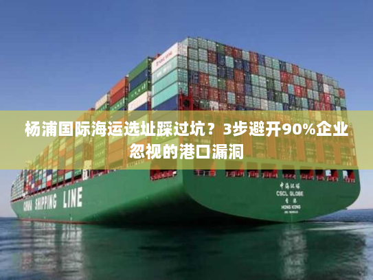 杨浦国际海运选址踩过坑？3步避开90%企业忽视的港口漏洞
