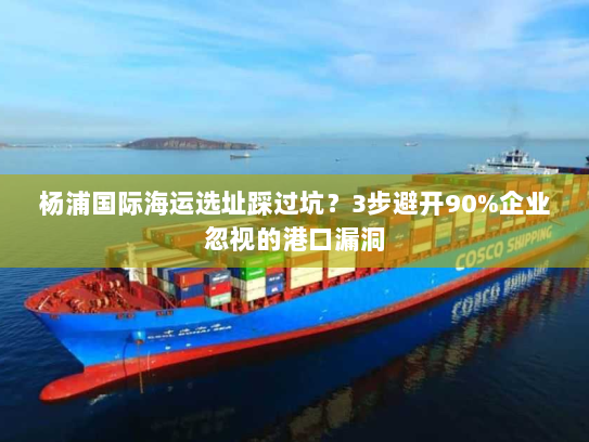 杨浦国际海运选址踩过坑？3步避开90%企业忽视的港口漏洞