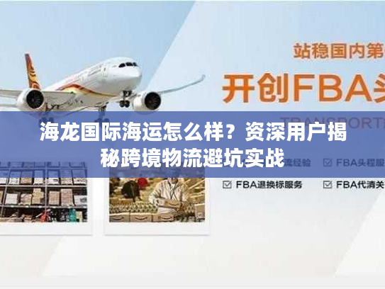 海龙国际海运怎么样？资深用户揭秘跨境物流避坑实战