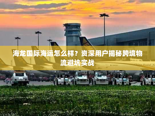 海龙国际海运怎么样？资深用户揭秘跨境物流避坑实战