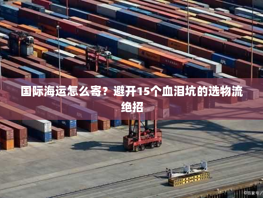 国际海运怎么寄？避开15个血泪坑的选物流绝招