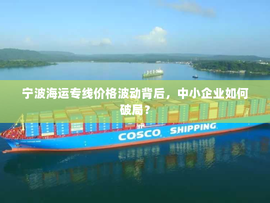 宁波海运专线价格波动背后，中小企业如何破局？
