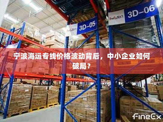 宁波海运专线价格波动背后，中小企业如何破局？