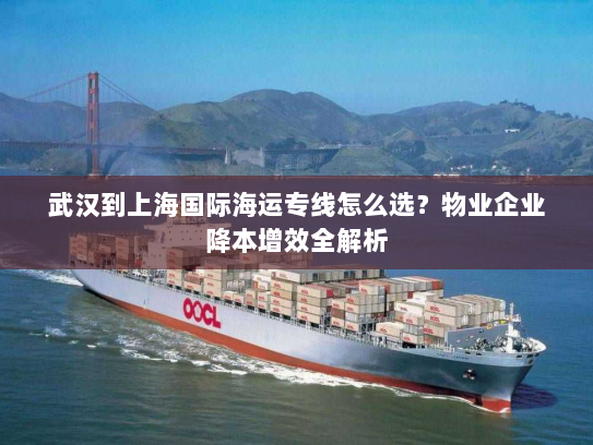 武汉到上海国际海运专线怎么选?物业企业降本增效全解析 武汉到上海国际海运专线怎么选?物业企业降本增效全解析