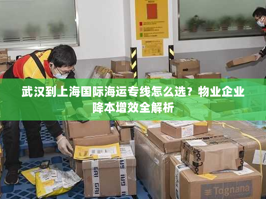 武汉到上海国际海运专线怎么选?物业企业降本增效全解析 武汉到上海国际海运专线怎么选?物业企业降本增效全解析