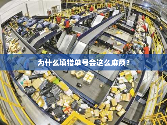 为什么填错单号会这么麻烦? 为什么填错单号会这么麻烦?