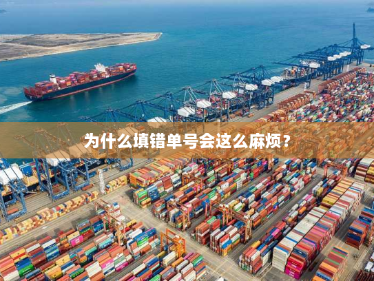 为什么填错单号会这么麻烦? 为什么填错单号会这么麻烦?