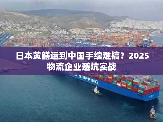 日本黄鳝运到中国手续难搞?2025物流企业避坑实战 日本黄鳝运到中国手续难搞?2025物流企业避坑实战