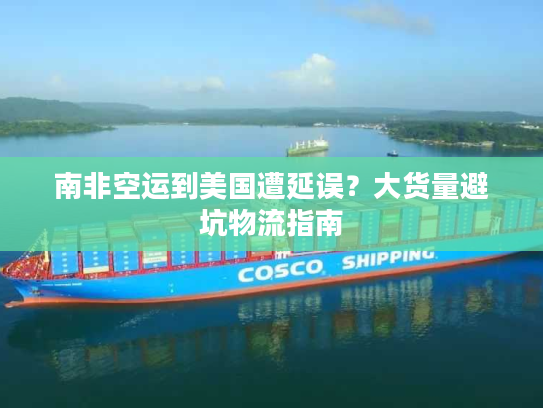 南非空运到美国遭延误？大货量避坑物流指南