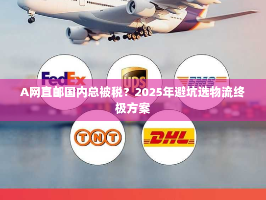 A网直邮国内总被税?2025年避坑选物流终极方案 A网直邮国内总被税?2025年避坑选物流终极方案