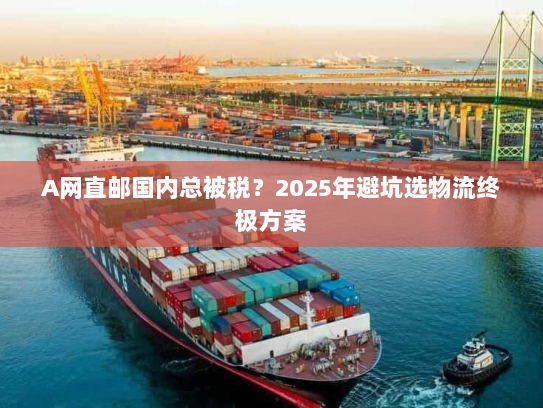 A网直邮国内总被税?2025年避坑选物流终极方案 A网直邮国内总被税?2025年避坑选物流终极方案