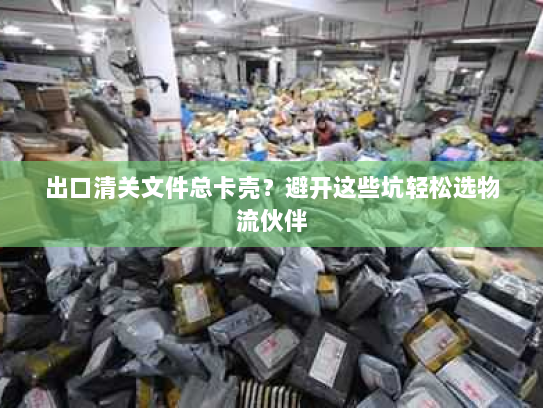 出口清关文件总卡壳?避开这些坑轻松选物流伙伴 出口清关文件总卡壳?避开这些坑轻松选物流伙伴