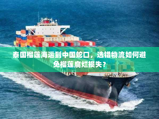 泰国榴莲海运到中国蛇口，选错物流如何避免榴莲腐烂损失？